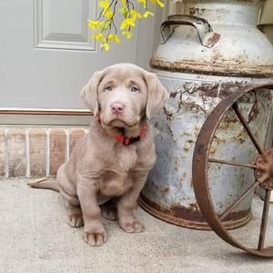 Meet your Posher, Kerri